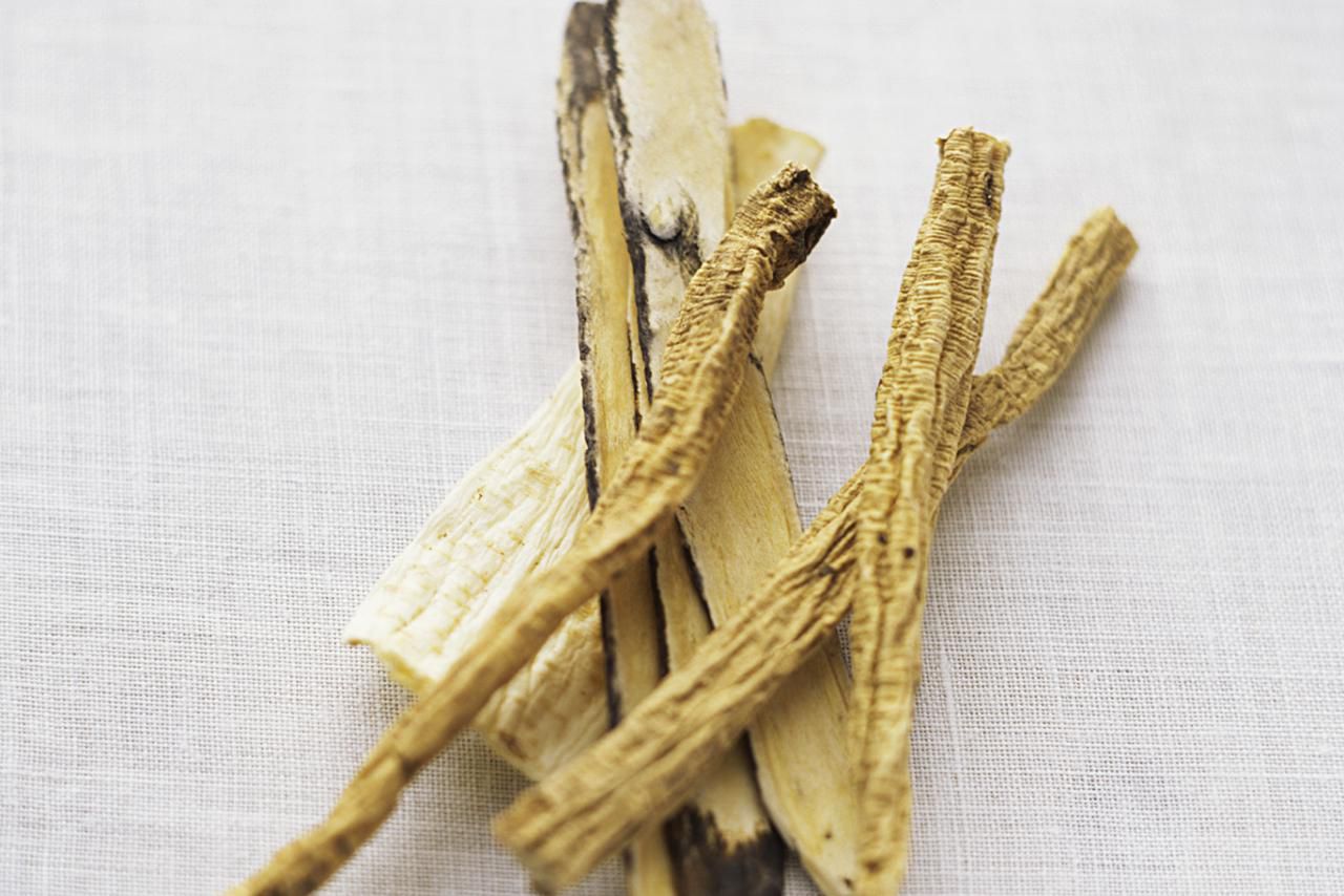 Astragalus-bienfaits