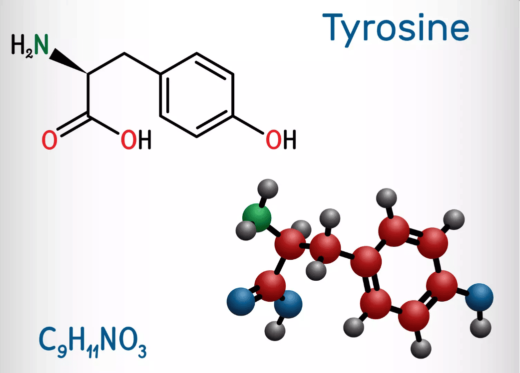 l-tyrosine-danger